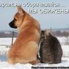 ))