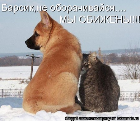 ))