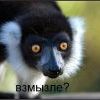 Узбагойся)))))) Узбагойся))))))