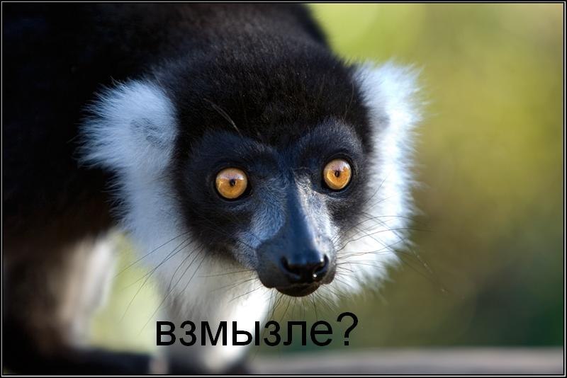 Узбагойся))))))