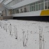 для Тети Моти 