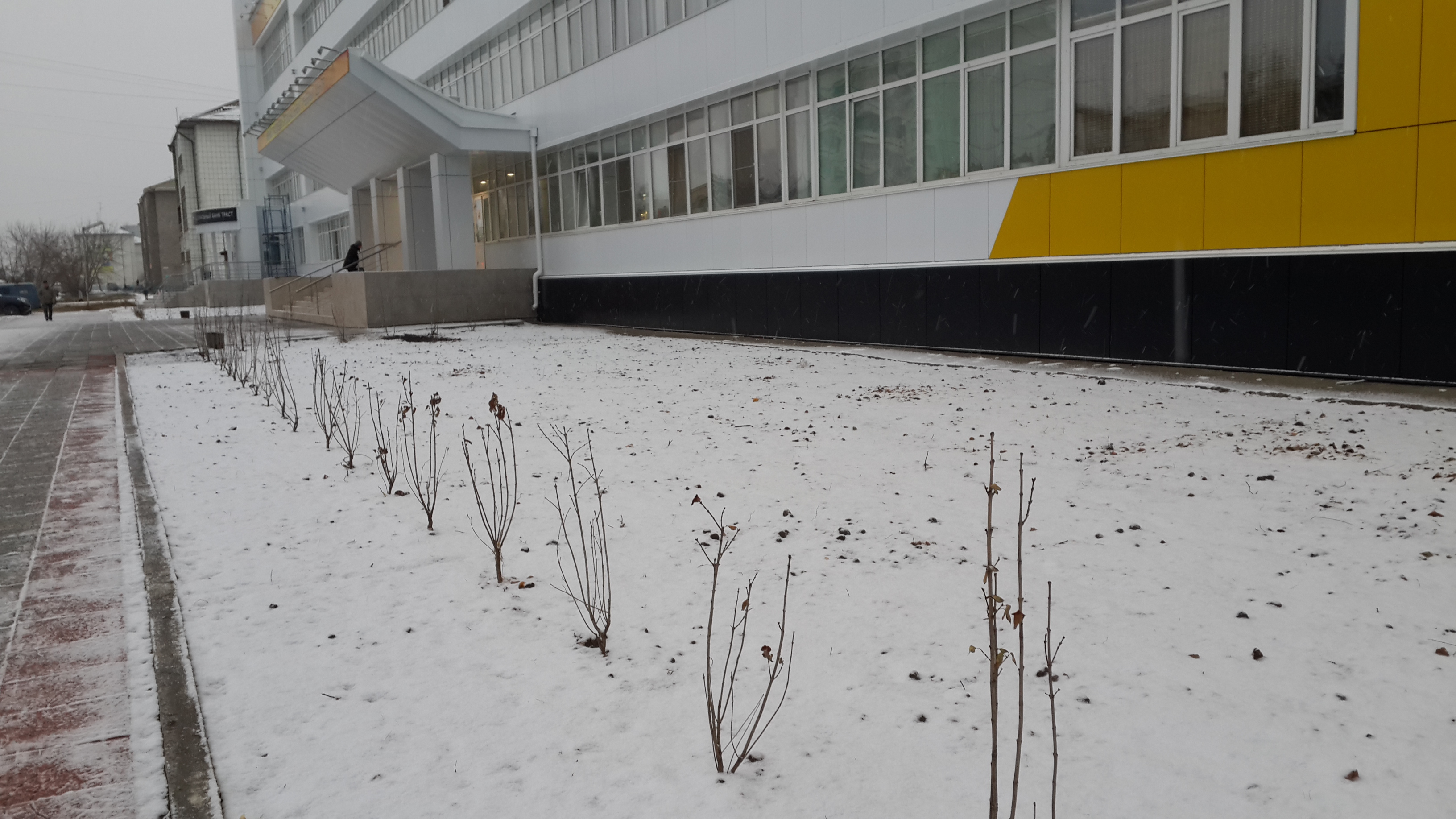 для Тети Моти 