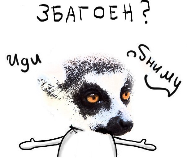 збагоен? иди абниму)))))