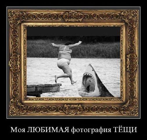 Любимая фотография