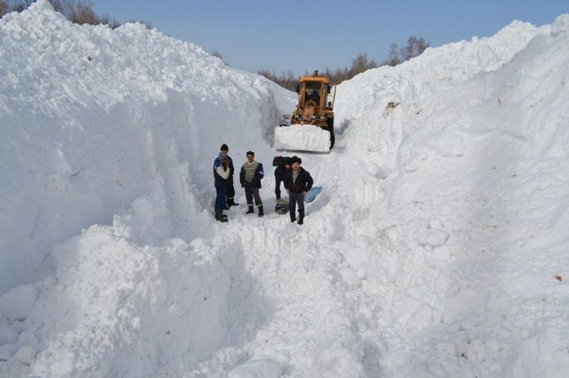 Снег