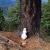 Зима притаилась и ждет своего Часа... Зима притаилась и ждет своего Часа...