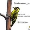 Хи=) Хи=)