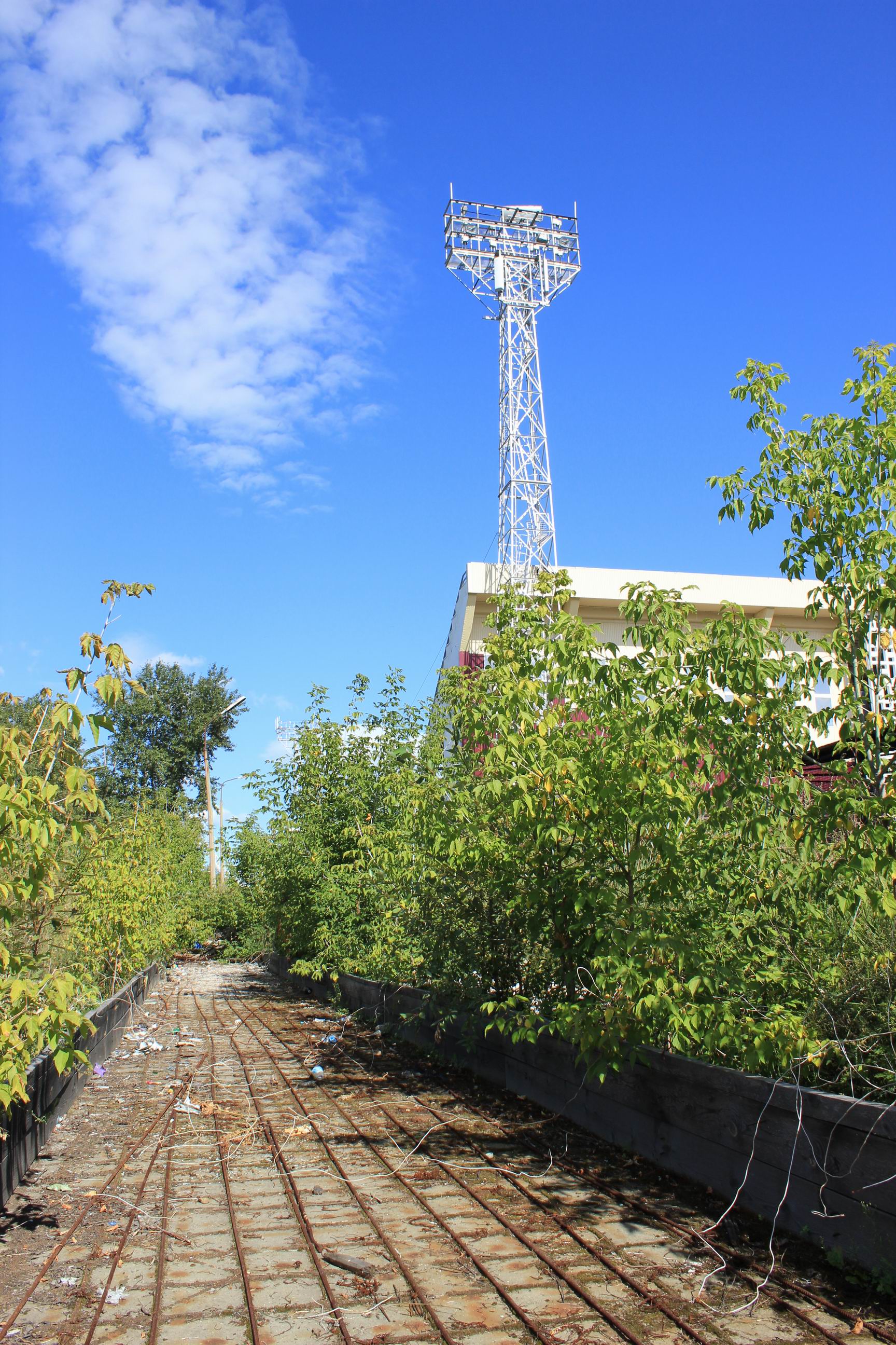 07. Благие намерения обернулись заросшим пустырем.