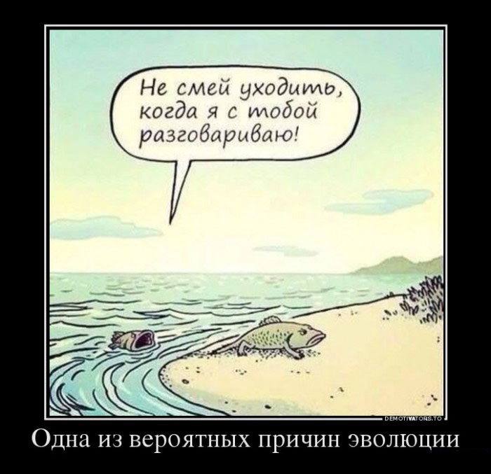 Вероятная причина эволюции