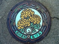 Магнолии в городе Атсуми Магнолии в городе Атсуми