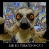 мы не узбагоимзя!!!!! мы не узбагоимзя!!!!!