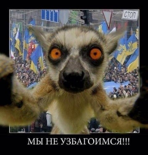 мы не узбагоимзя!!!!!