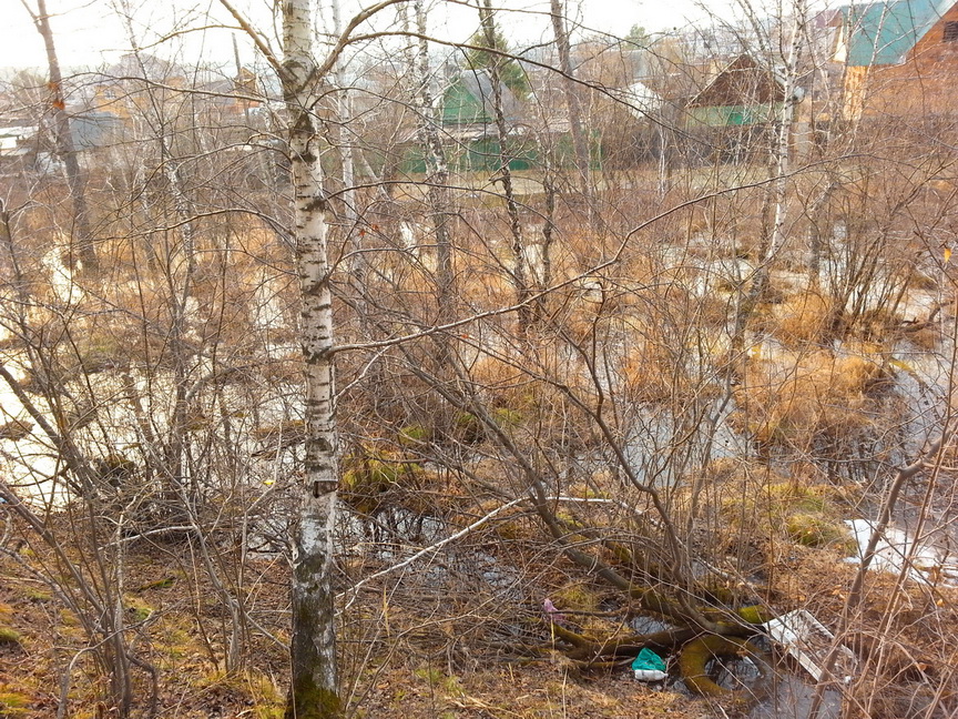 там ... у Расцвета)))))