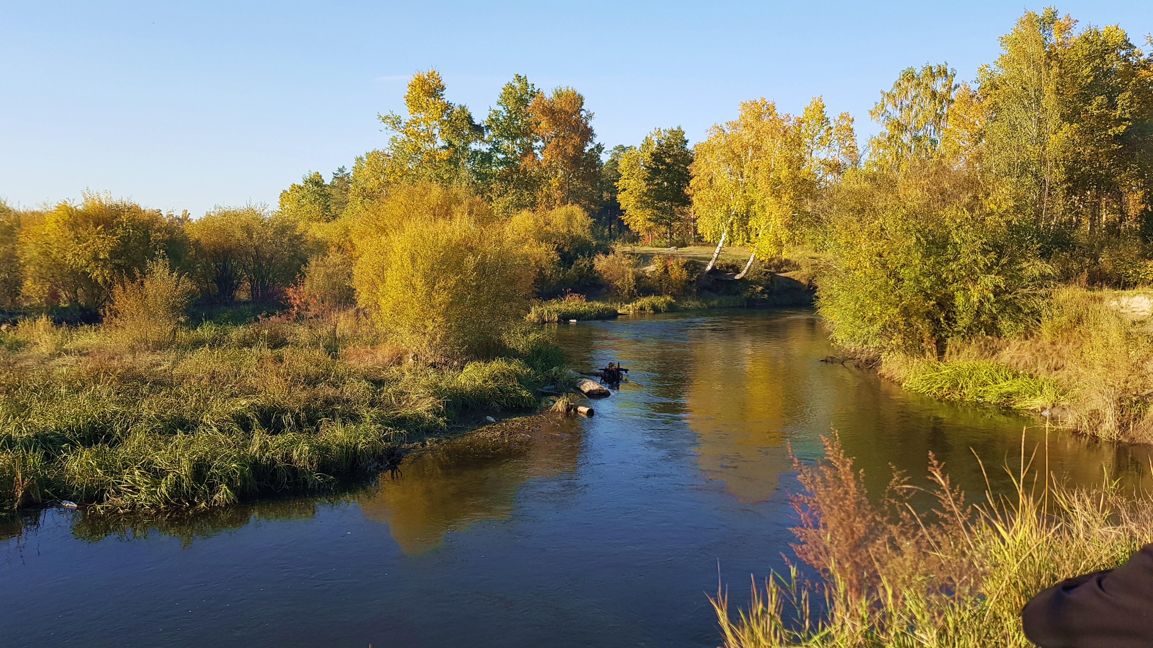 осень на Еловке)))))))