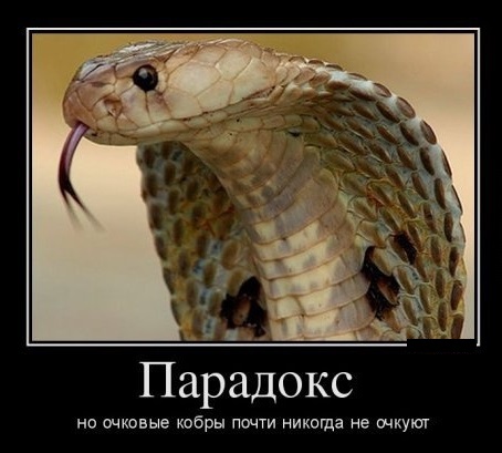 Парадокс