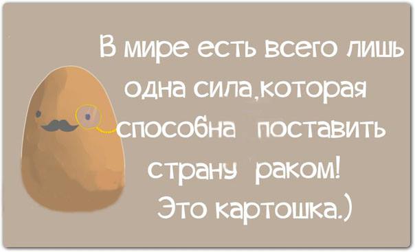 984083 10152406534359025 2787378444070657024 n