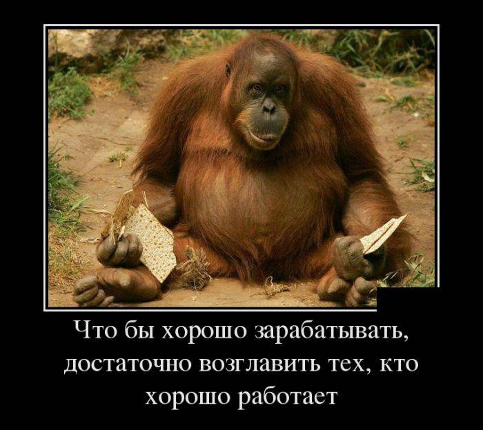Возглавить тех, кто работает