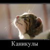 Каникулы Каникулы