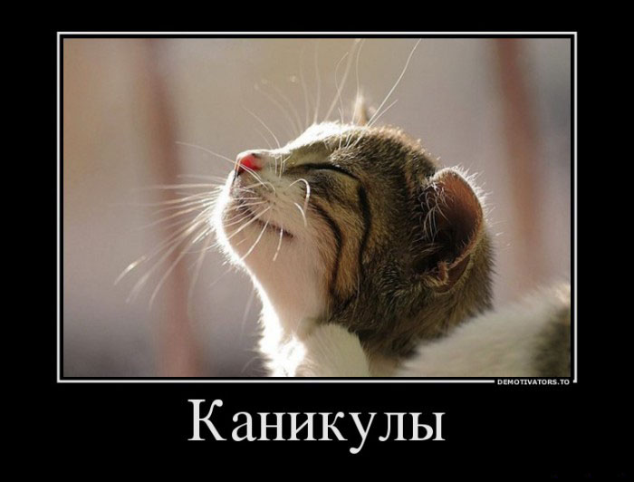 Каникулы