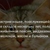 Эх, мяу... Эх, мяу...