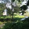 IMG 0960 IMG 0960