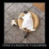 Гены