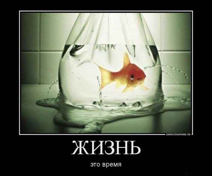 Жизнь