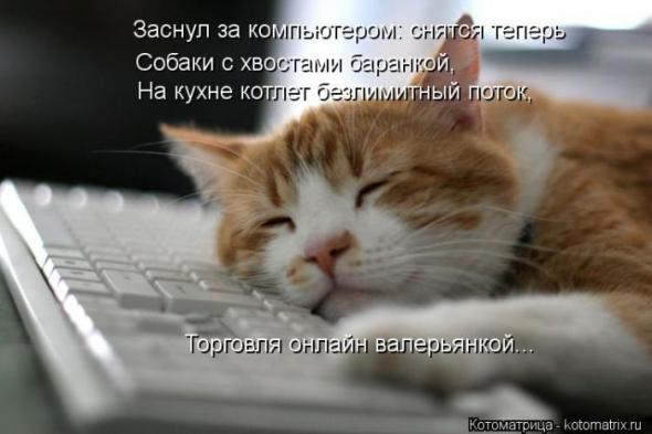 907c45fce8877dfcacd36413d87 prev
