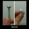 Забей Забей