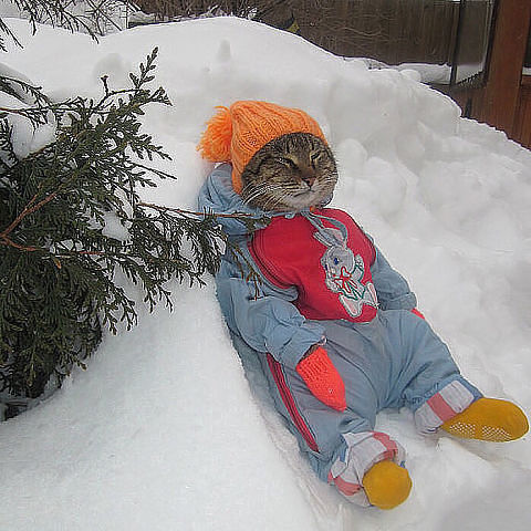 скорее бы бабушке внука родили))