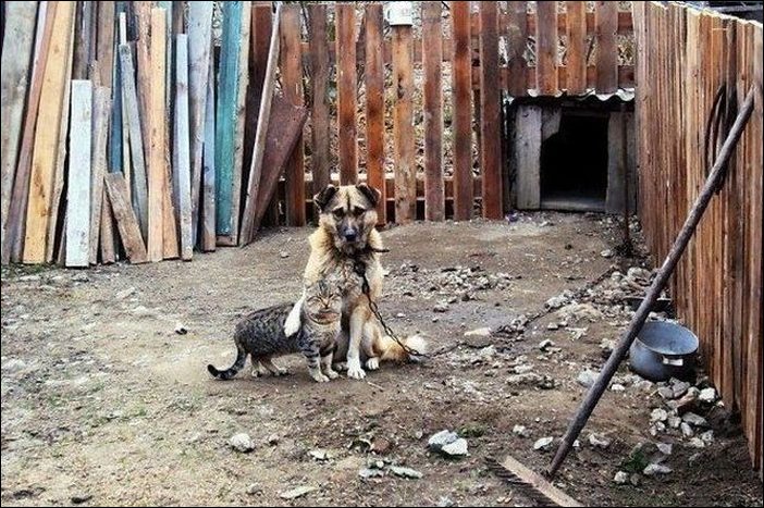 на долгую память))