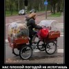 Плохой погодой не испугаешь
