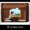 Я точно кот