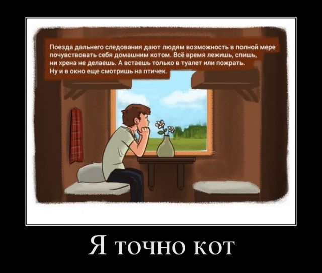 Я точно кот