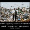 Только дурак нуждается в порядке