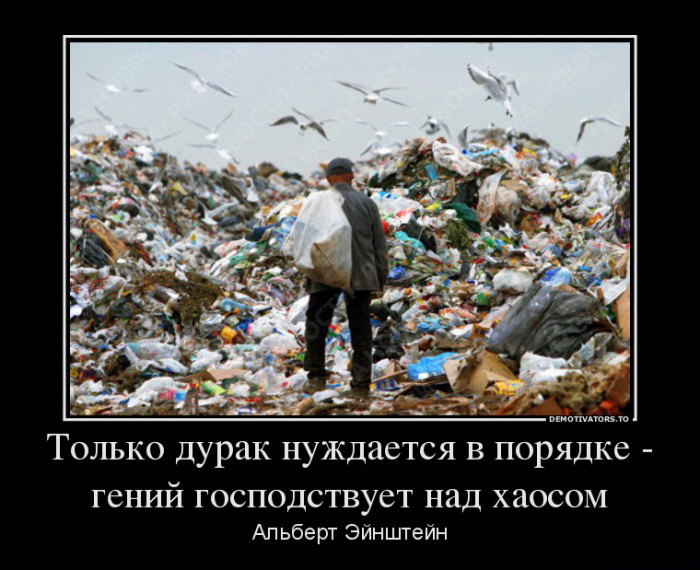 Только дурак нуждается в порядке