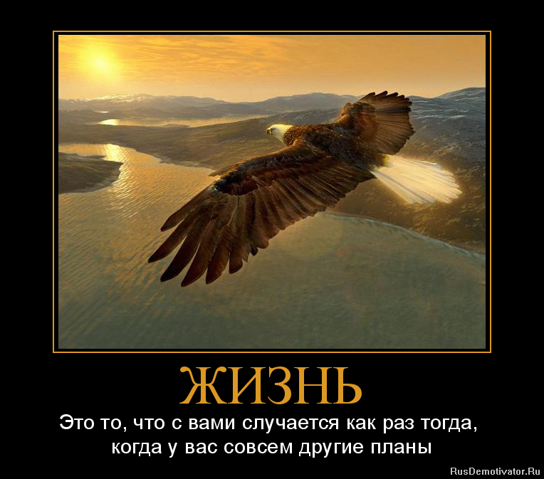 Жизнь