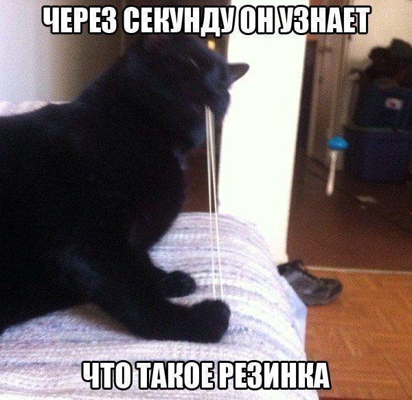 Что такое-резинка