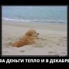 За деньги...