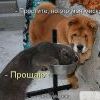 ))