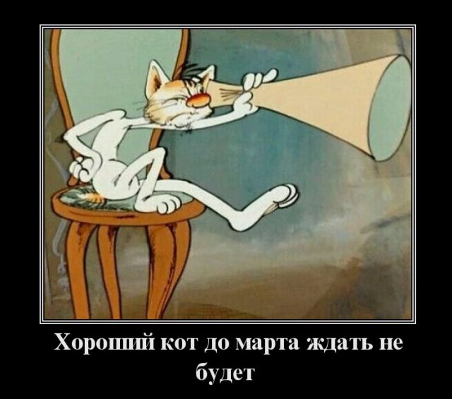 Хороший кот