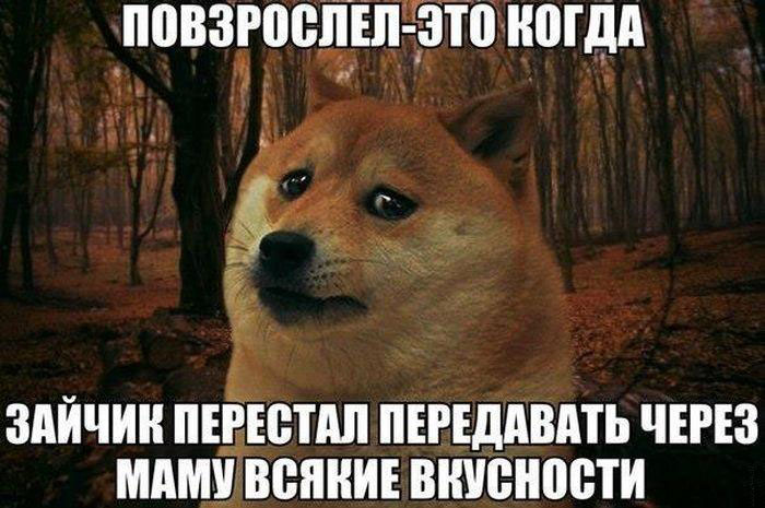 Зайчик-повзрослел
