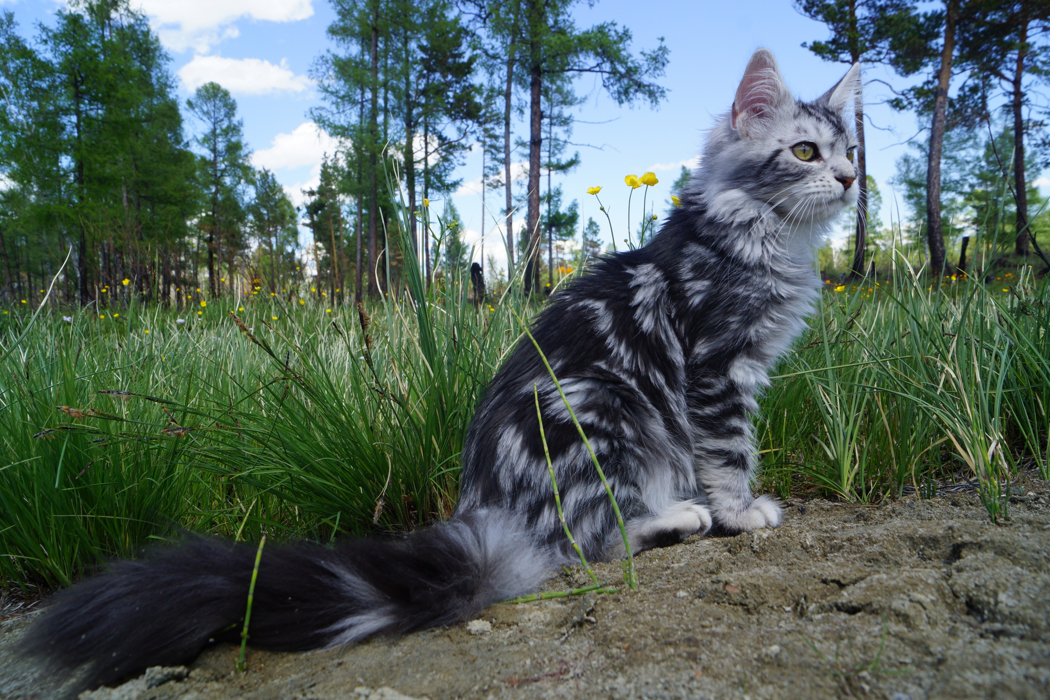 Саймон в младенчестве на природе отдыхает