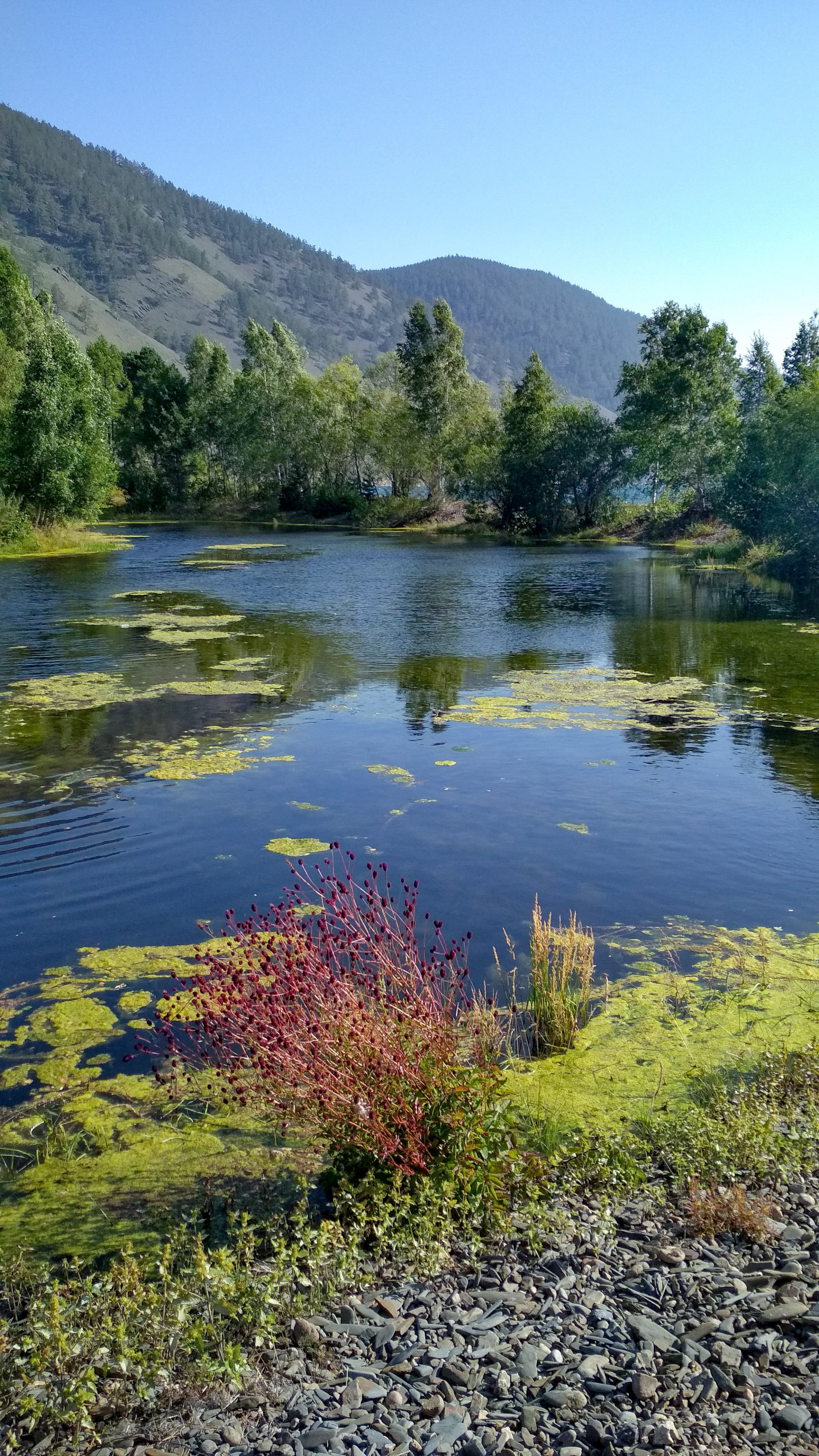 Очарование тишины