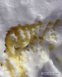 рисовать рисовать