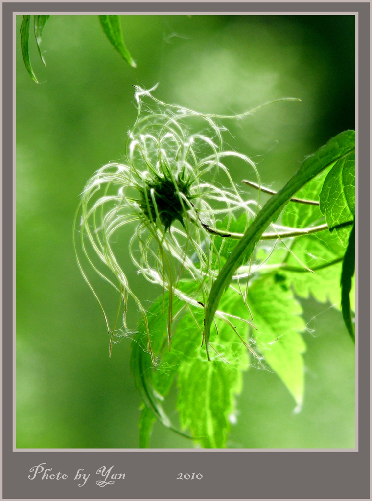 Без названия