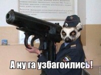 а нуга узбагоились взе!!!!