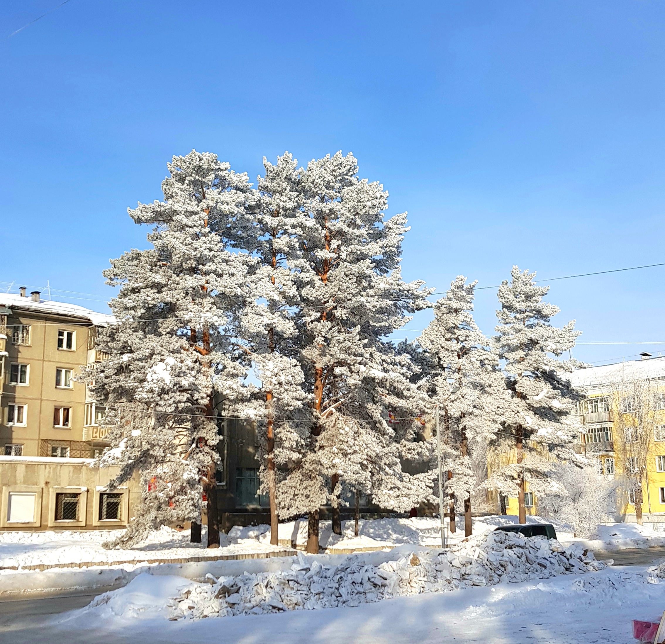 Фестивальная январь 2018