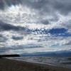 Их ветер гонит к нам издалека.…
