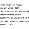 Разные взгляды.Человек и муха